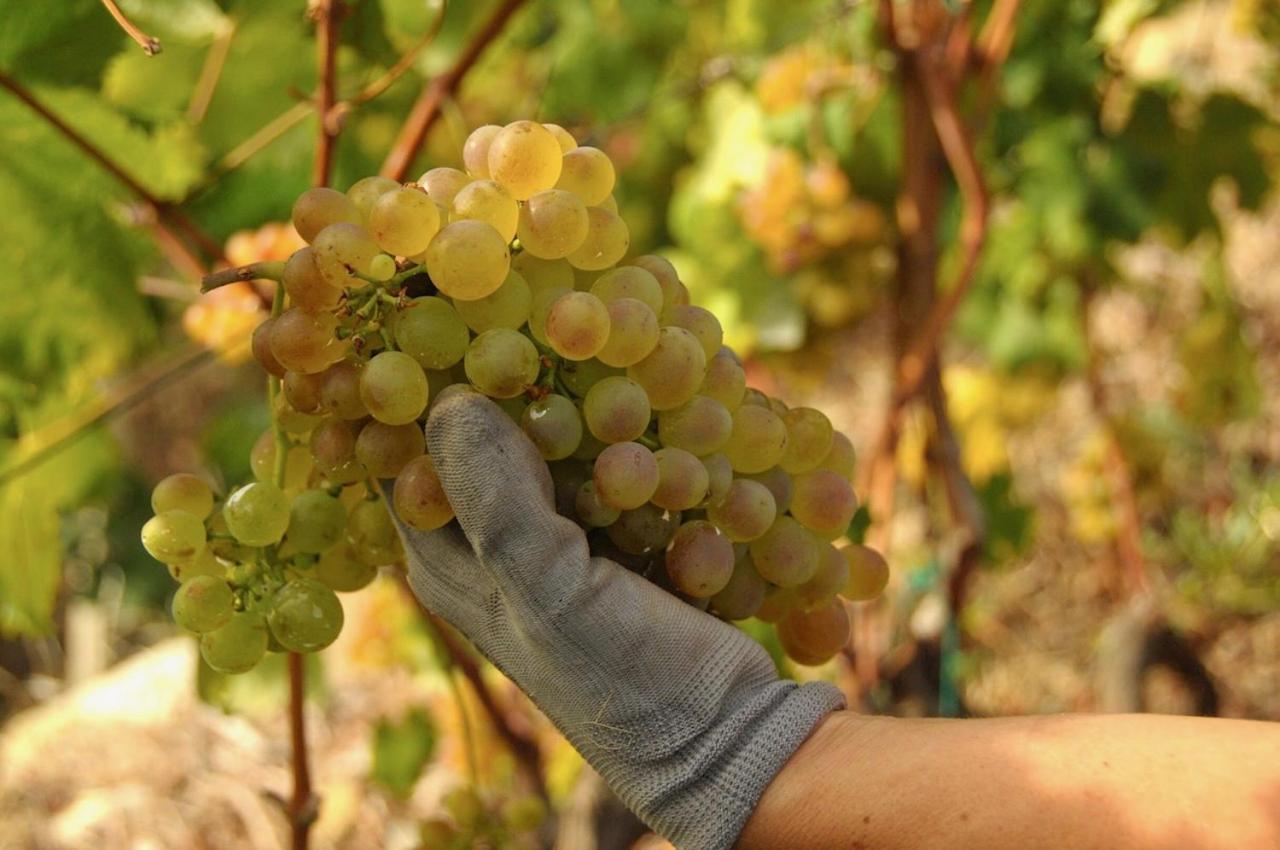 La Casa Del Podere كاستيلارو المظهر الخارجي الصورة