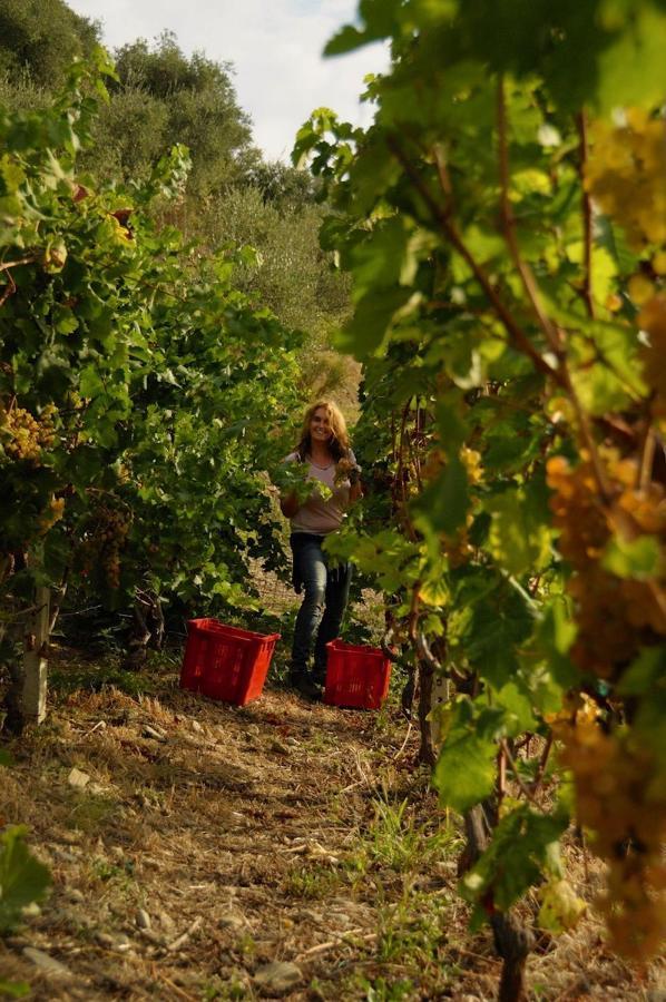 La Casa Del Podere كاستيلارو المظهر الخارجي الصورة